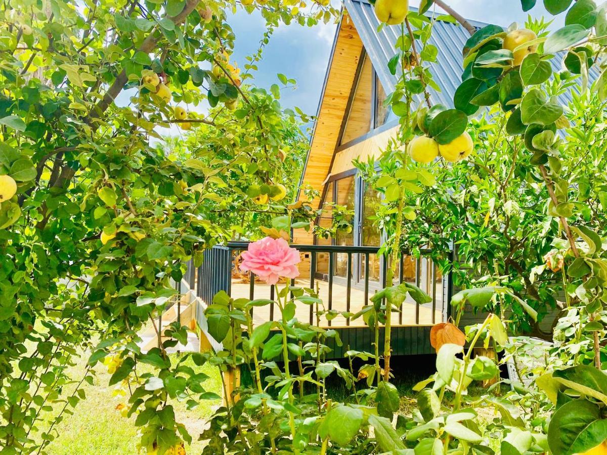 Garden Bungalow 안탈리아 외부 사진